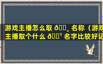 游戏主播怎么取 🕸 名称（游戏主播取个什么 🌹 名字比较好记）